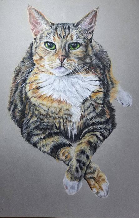 The finished pastel portrait
